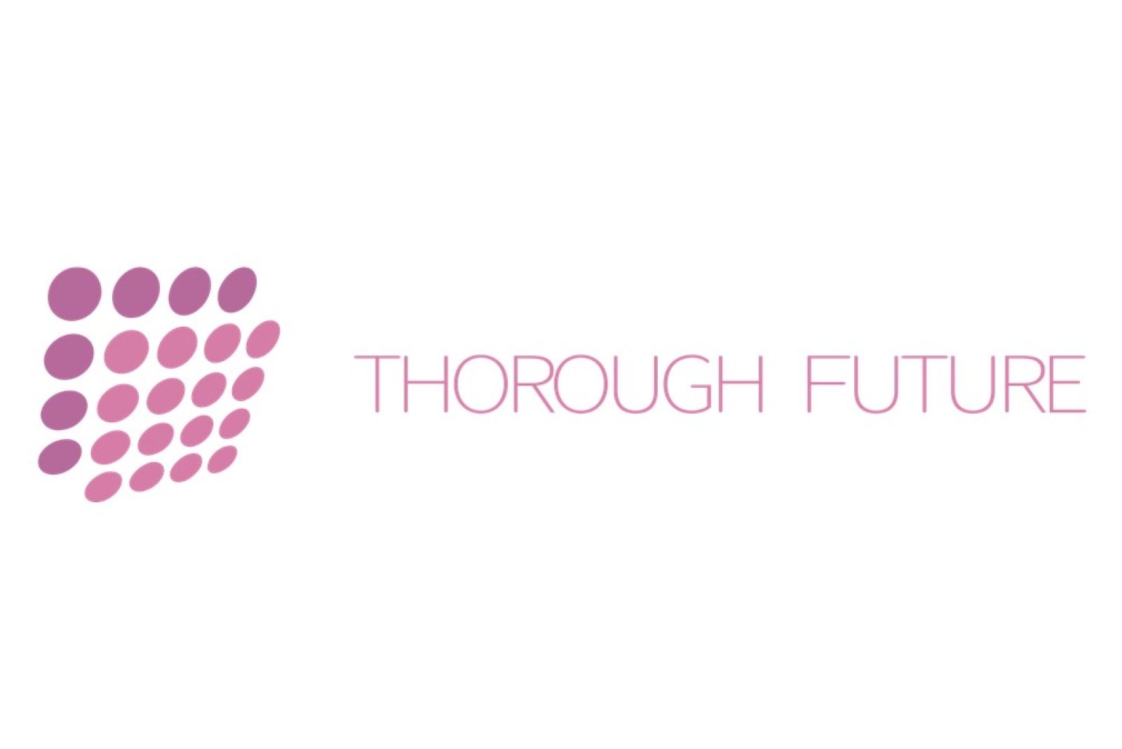 Thorough Future sponsor